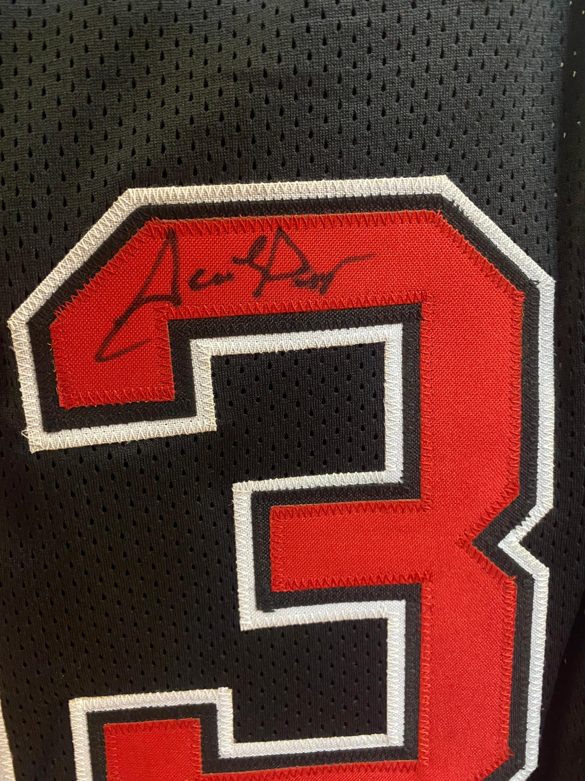Scottie Pippen Chicago Bulls autographed custom Jersey COA product image 3