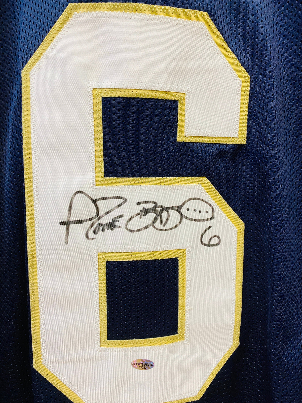 Jerome Bettis Notre Dame Fighting Irish autographed jersey product image 2