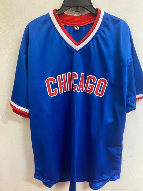 Andre Dawson autographed Chicago Cubs custom jersey JSA product image 2