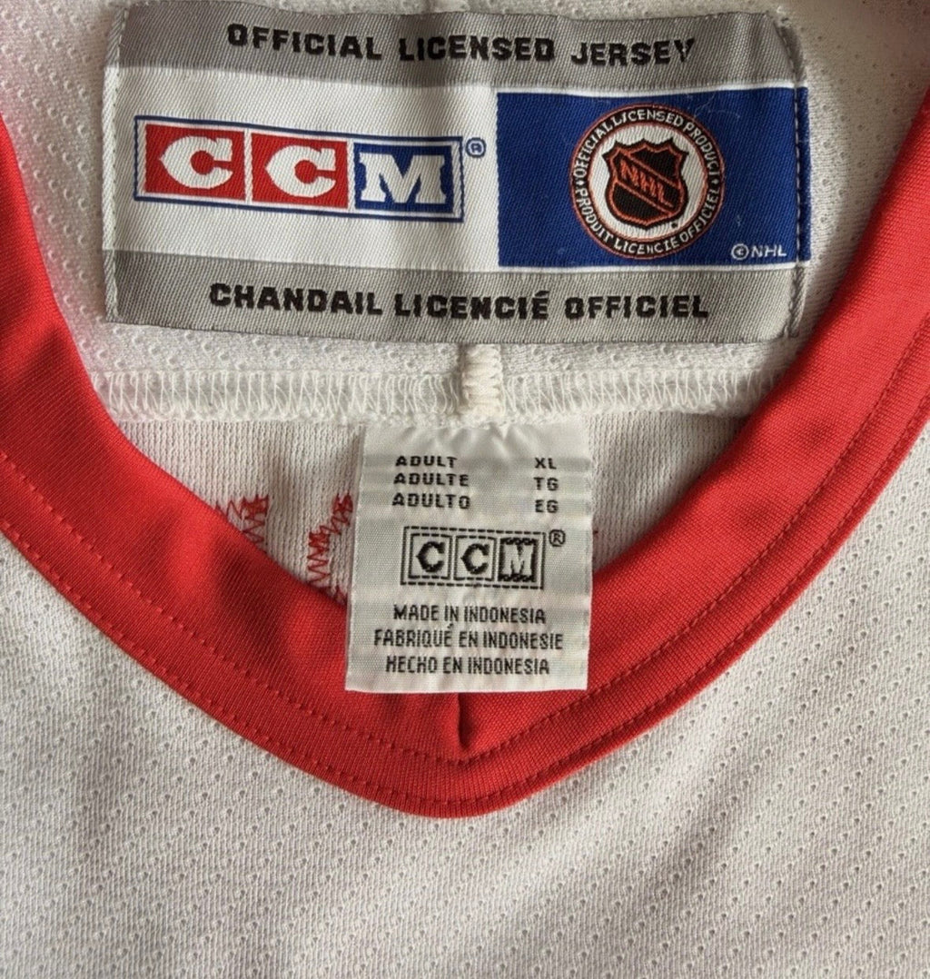 Dominik Hasek 2002 Detroit Red Wings Official NHL CCM Jersey product image 5