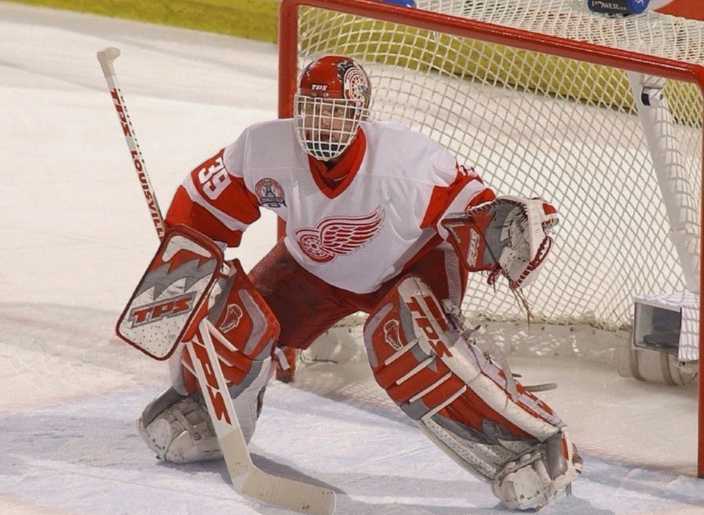 Dominik Hasek 2002 Detroit Red Wings Official NHL CCM Jersey product image 6