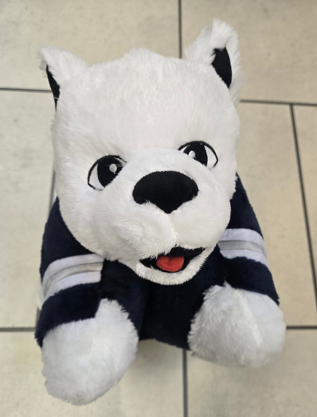 University of Connecticut UCONN Huskies Official NCAA product image 3